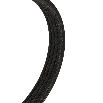 V-Ribbed Belt RIDEX 305P0008 305P0008 - photo 5