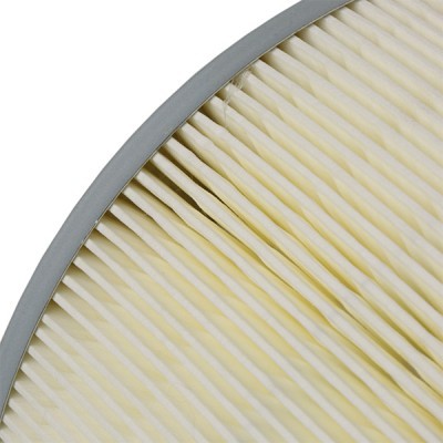 Air Filter RIDEX 8A0327 8A0327 - photo 6