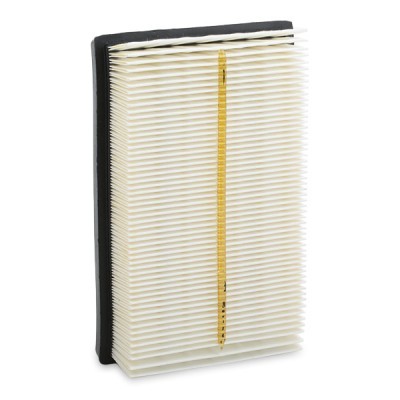Air Filter RIDEX 8A0462 8A0462 - photo 5