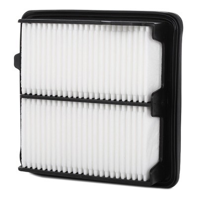 Air Filter RIDEX 8A0289 8A0289 - photo 4