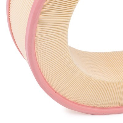 Air Filter RIDEX 8A0368 8A0368 - photo 5