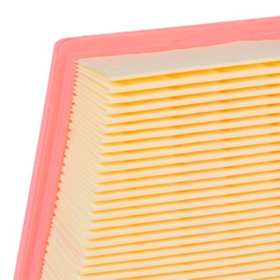 Air Filter RIDEX 8A0033 8A0033 - photo 4