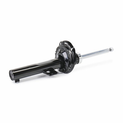 Shock Absorber RIDEX 854S17954 854S17954 - photo 5