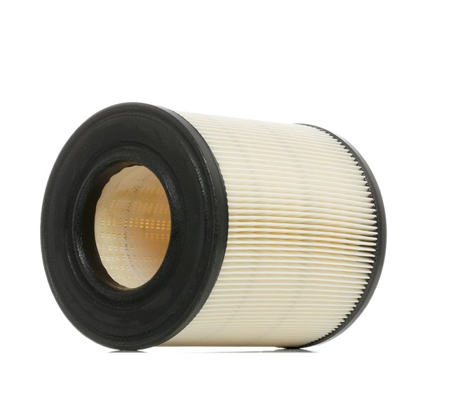 Air Filter RIDEX 8A0146 8A0146 - photo 1