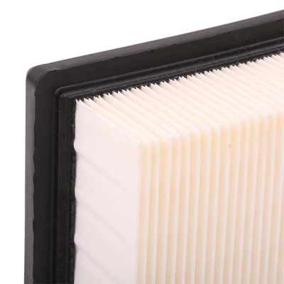 Air Filter RIDEX 8A0209 8A0209 - photo 6