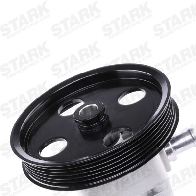 Hydraulic Pump, Steering System Stark SKHP-0540139 SKHP-0540139 - photo 5