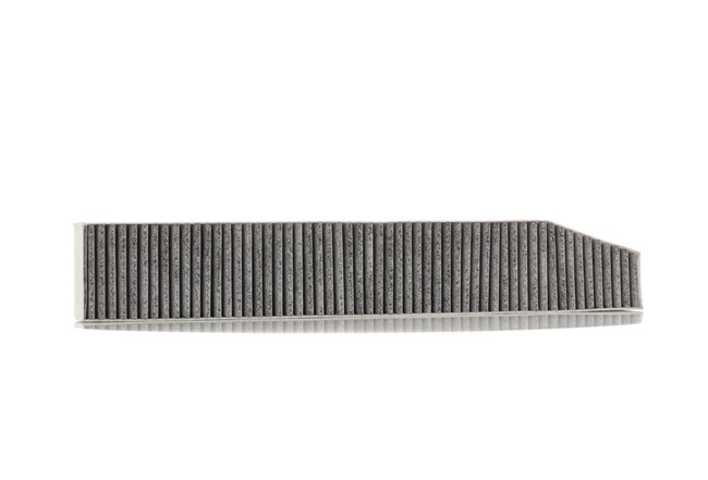 Cabin Air Filter RIDEX 424I0443 424I0443 - photo 1