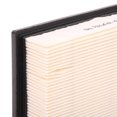 Air Filter RIDEX 8A0159 8A0159 - photo 5
