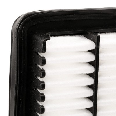 Air Filter RIDEX 8A0710 8A0710 - photo 5