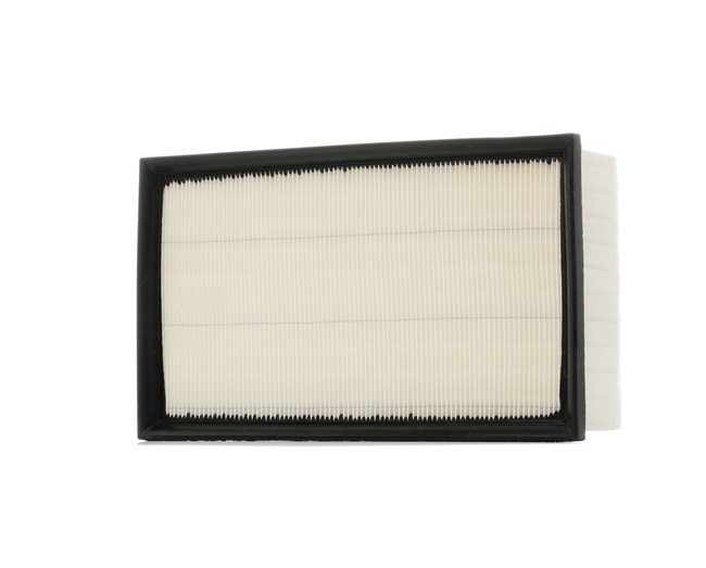 Air Filter RIDEX 8A0160 8A0160 - photo 1