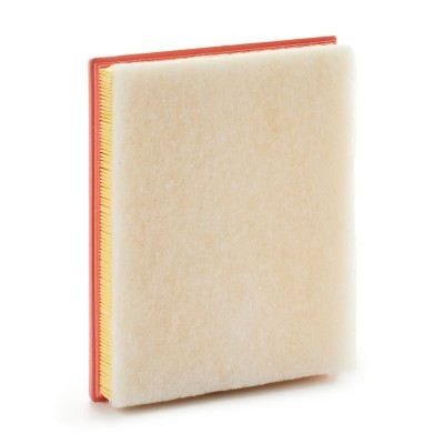Air Filter RIDEX 8A0982 8A0982 - photo 3