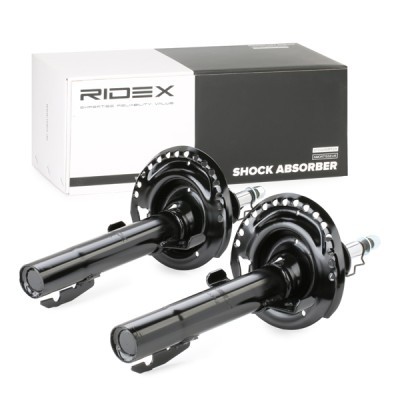 Shock Absorber RIDEX 854S1068 854S1068 - photo 3