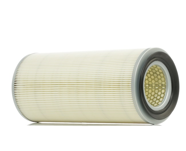 Air Filter RIDEX 8A0306 8A0306 - photo 1