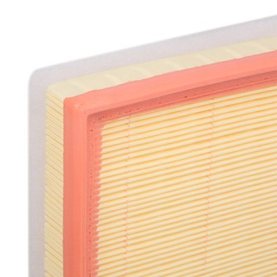 Air Filter RIDEX 8A0611 8A0611 - photo 5