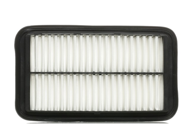 Air Filter RIDEX 8A0309 8A0309 - photo 1