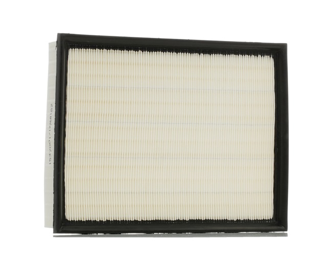 Air Filter RIDEX 8A0650 8A0650 - photo 1