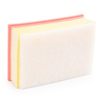 Air Filter RIDEX 8A1305 8A1305 - photo 9