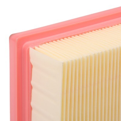 Air Filter RIDEX 8A0669 8A0669 - photo 5