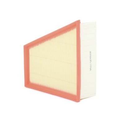 Air Filter RIDEX 8A0017 8A0017 - photo 3