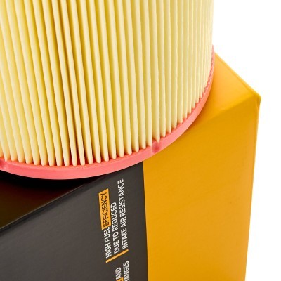 Air Filter RIDEX 8A0584 8A0584 - photo 4