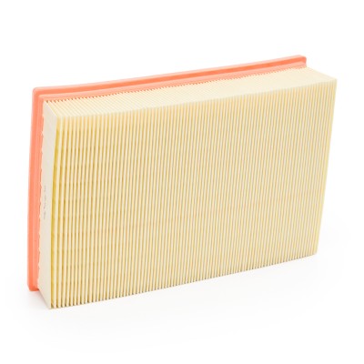 Air Filter RIDEX 8A1018 8A1018 - photo 9