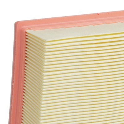 Air Filter RIDEX 8A0866 8A0866 - photo 5