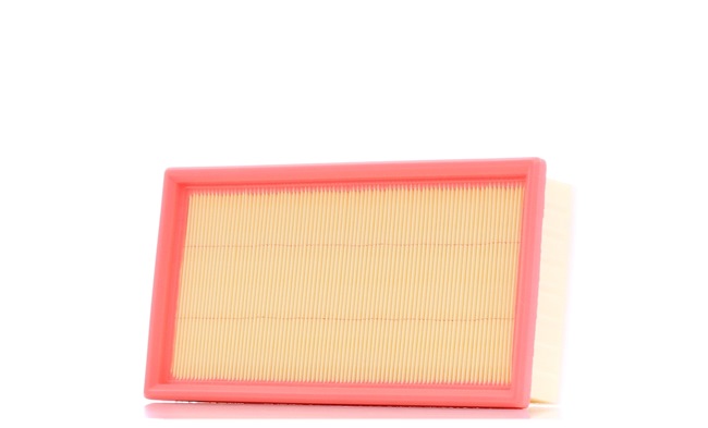 Air Filter RIDEX 8A0132 8A0132 - photo 1