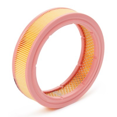 Air Filter RIDEX 8A0509 8A0509 - photo 3
