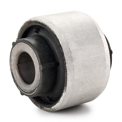Control Arm Bushing RIDEX 251T1001 251T1001 - photo 3