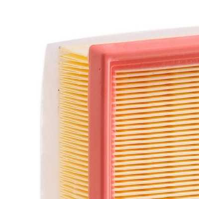 Air Filter RIDEX 8A0062 8A0062 - photo 8