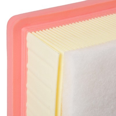 Air Filter RIDEX 8A0644 8A0644 - photo 5