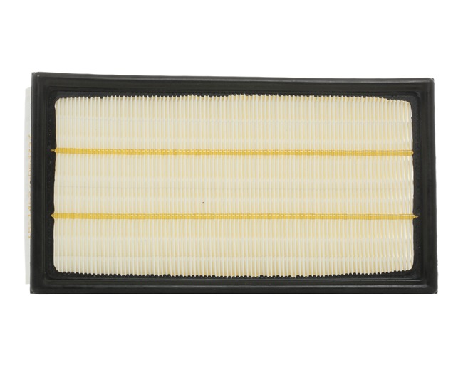 Air Filter RIDEX 8A0423 8A0423 - photo 1