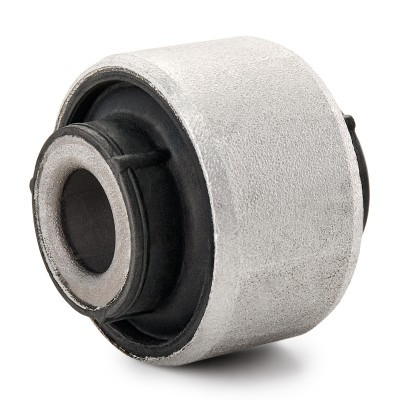 Control Arm Bushing RIDEX 251T1001 251T1001 - photo 4