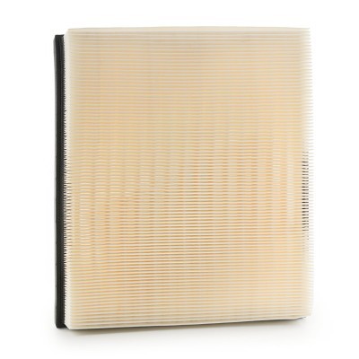 Air Filter RIDEX 8A0719 8A0719 - photo 4
