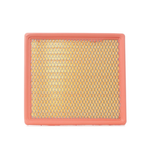 Air Filter RIDEX 8A0057 8A0057 - photo 1