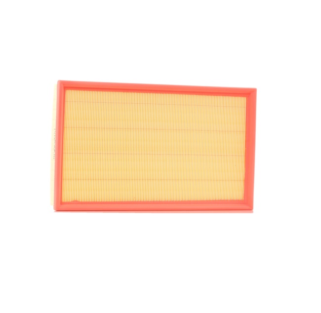 Air Filter RIDEX 8A0113 8A0113 - photo 1