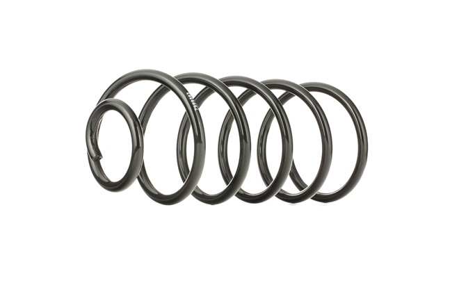 Suspension Spring Stark SKCS-0040248 SKCS-0040248 - photo 1