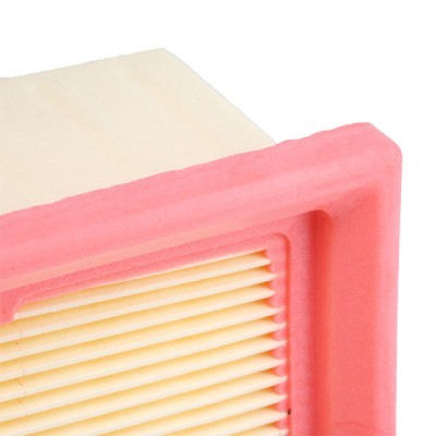 Air Filter RIDEX 8A0311 8A0311 - photo 4