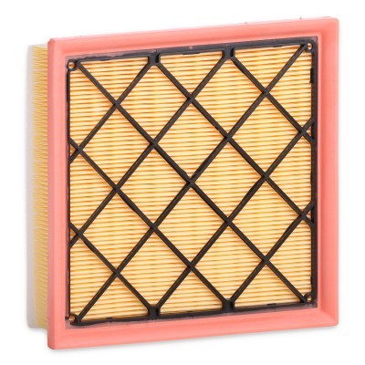 Air Filter RIDEX 8A0515 8A0515 - photo 5
