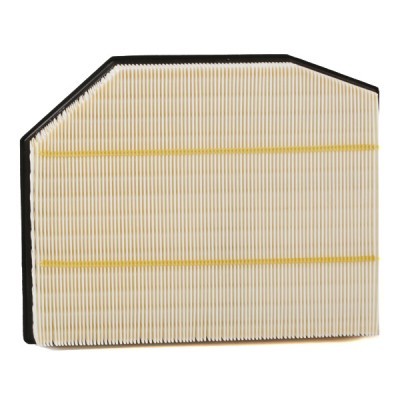 Air Filter RIDEX 8A0565 8A0565 - photo 3