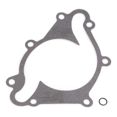 Water Pump, Engine Cooling RIDEX 1260W0174 1260W0174 - photo 5