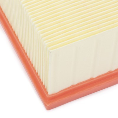Air Filter RIDEX 8A0017 8A0017 - photo 5