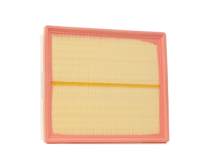 Air Filter RIDEX 8A0192 8A0192 - photo 1