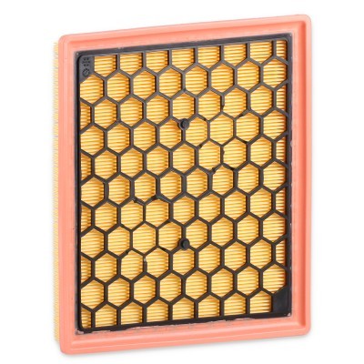 Air Filter RIDEX 8A0965 8A0965 - photo 5