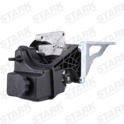 Hydraulic Pump, Steering System Stark SKHP-0540276 SKHP-0540276 - photo 5