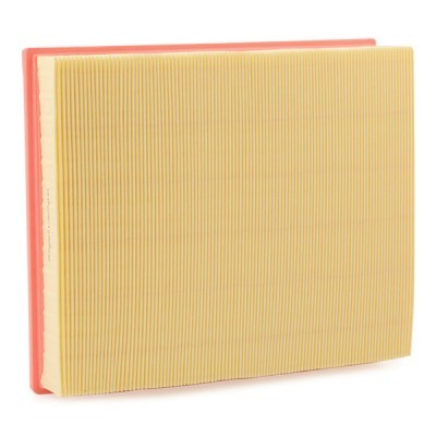 Air Filter RIDEX 8A0666 8A0666 - photo 3