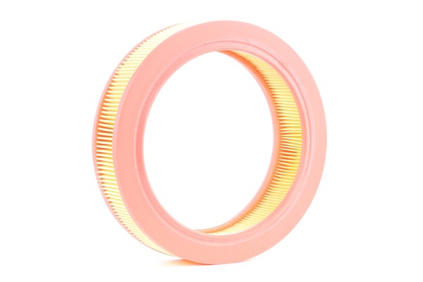 Air Filter RIDEX 8A0440 8A0440 - photo 1