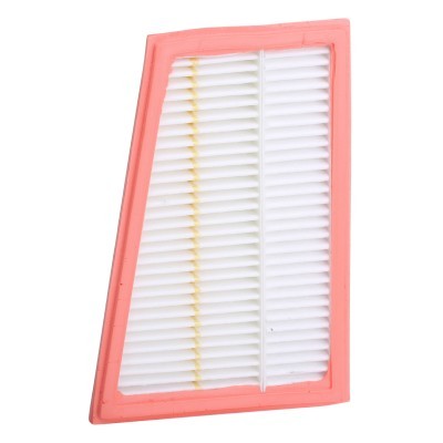 Air Filter RIDEX 8A0645 8A0645 - photo 7