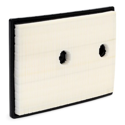 Air Filter RIDEX 8A0321 8A0321 - photo 6
