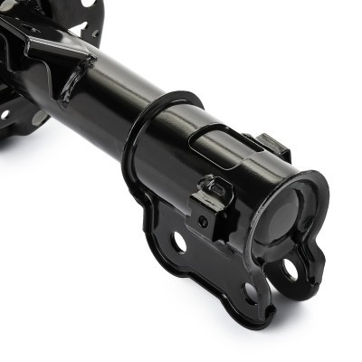Shock Absorber RIDEX 854S17787 854S17787 - photo 5
